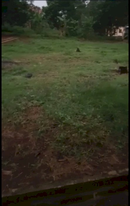 Di jual tanah luas 130 m2 dkt SMA 12 gunungpati