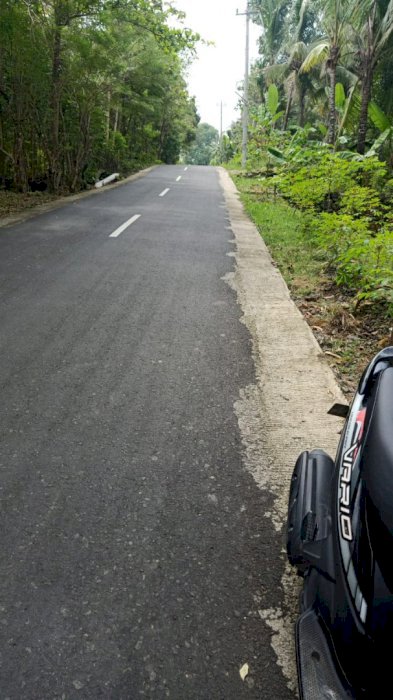 Tanah pekaranga. Jl raya kasongan