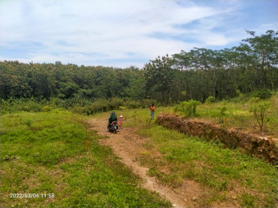 Tanah murah di kec ngalian semarang