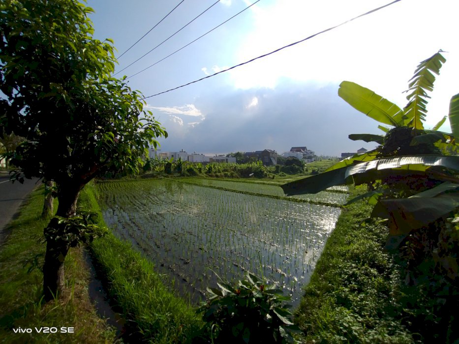 Dijual cepat tanah pinggir jalan utama tumbak bayuh zona kuning