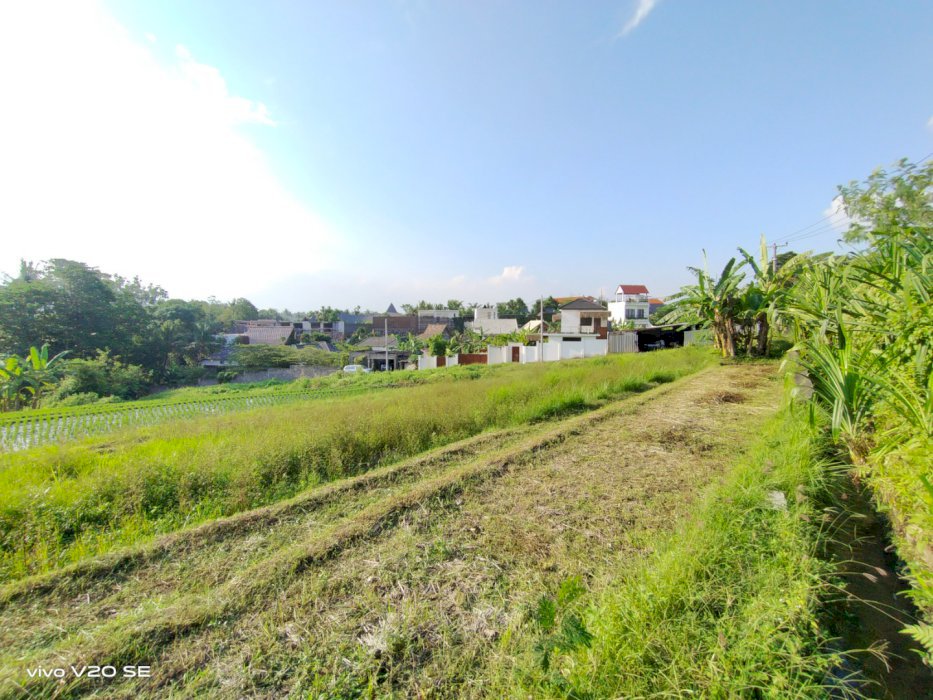 Termurah dan langka tanah zona kuning tumbak bayuh pererenan