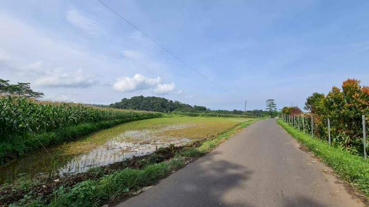 Tanah pinggir jalan Ngabean boja