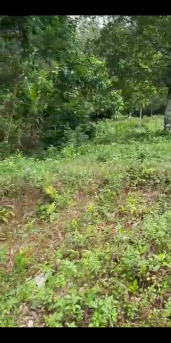 Di jual lahan tengah kota