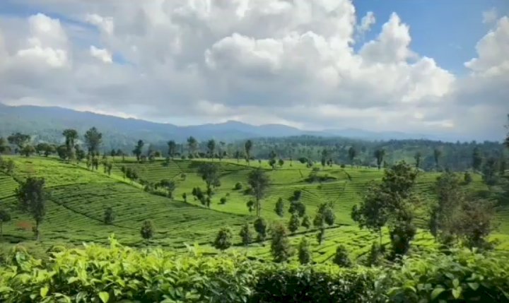 Dijual villa view menarik Bandung Jawa barat