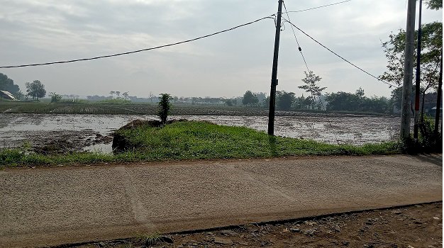 Jual Tanah Luas 2 Ha Di Rancalame (Rancaoray) - Bojongsoang !