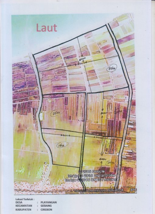 Tanah dipinggir jalan propinsi sampai ke pinggir pantai