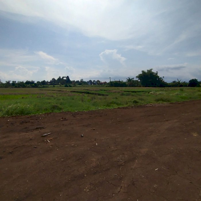 Dijual cepat tanah dekat pantai kedungu itr akomodasi pariwisata