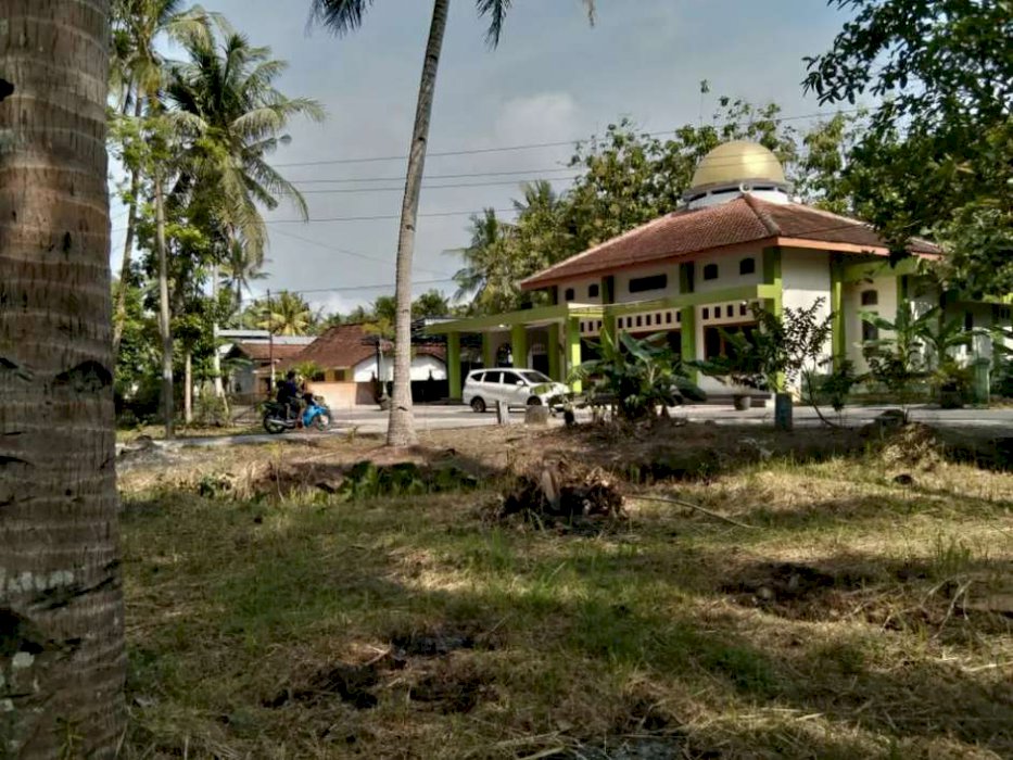 DI JUAL TANAH MURAH DAN STRATEGIS DI KULON PROGO  YOGYAKARTA