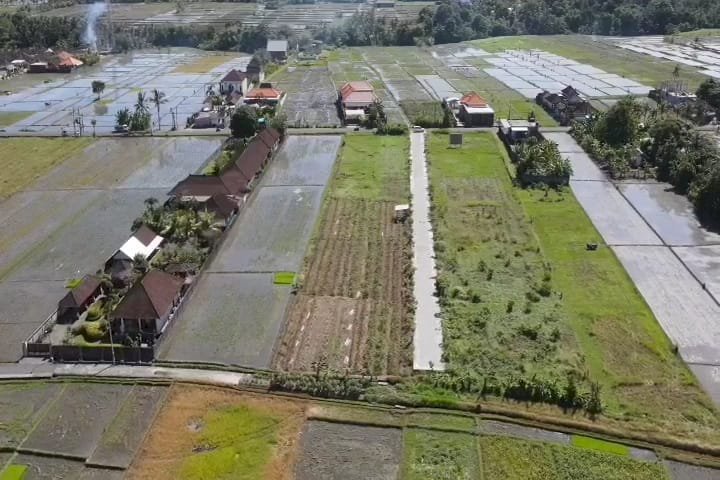 Dijual sebidang tanah kosong. Dengan view sawah, laut dan gunung.