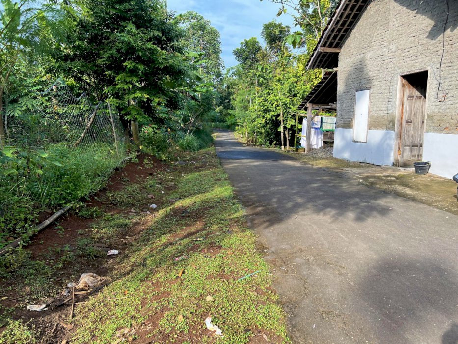 Dijual cepat tanah pekarangan yang asri