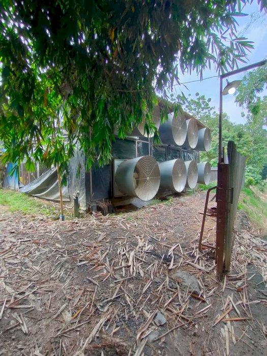 Dijual Tanah Pekarangan strategis di Kandal, Jawa Tengah