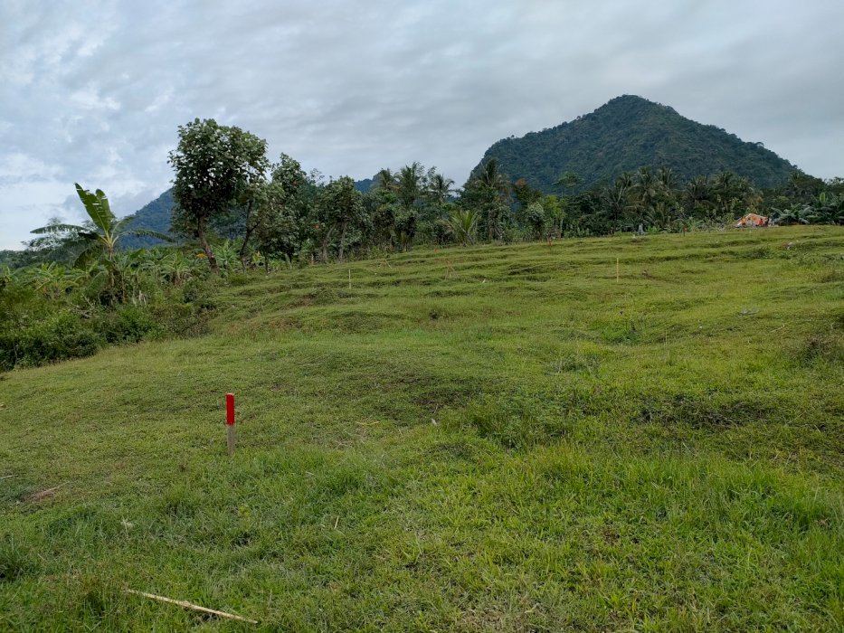 TANAH KAVLING STRATEGIS JONGGOL LEGALITAS AMAN AMANAH BEST SELLER