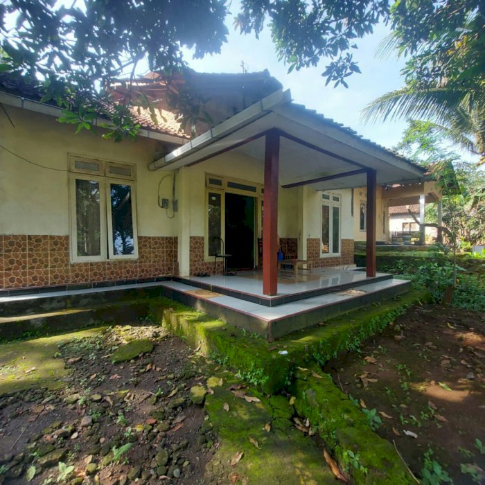 Dijual Cepat Rumah View Sawah Lokasi Margodadi - Sleman