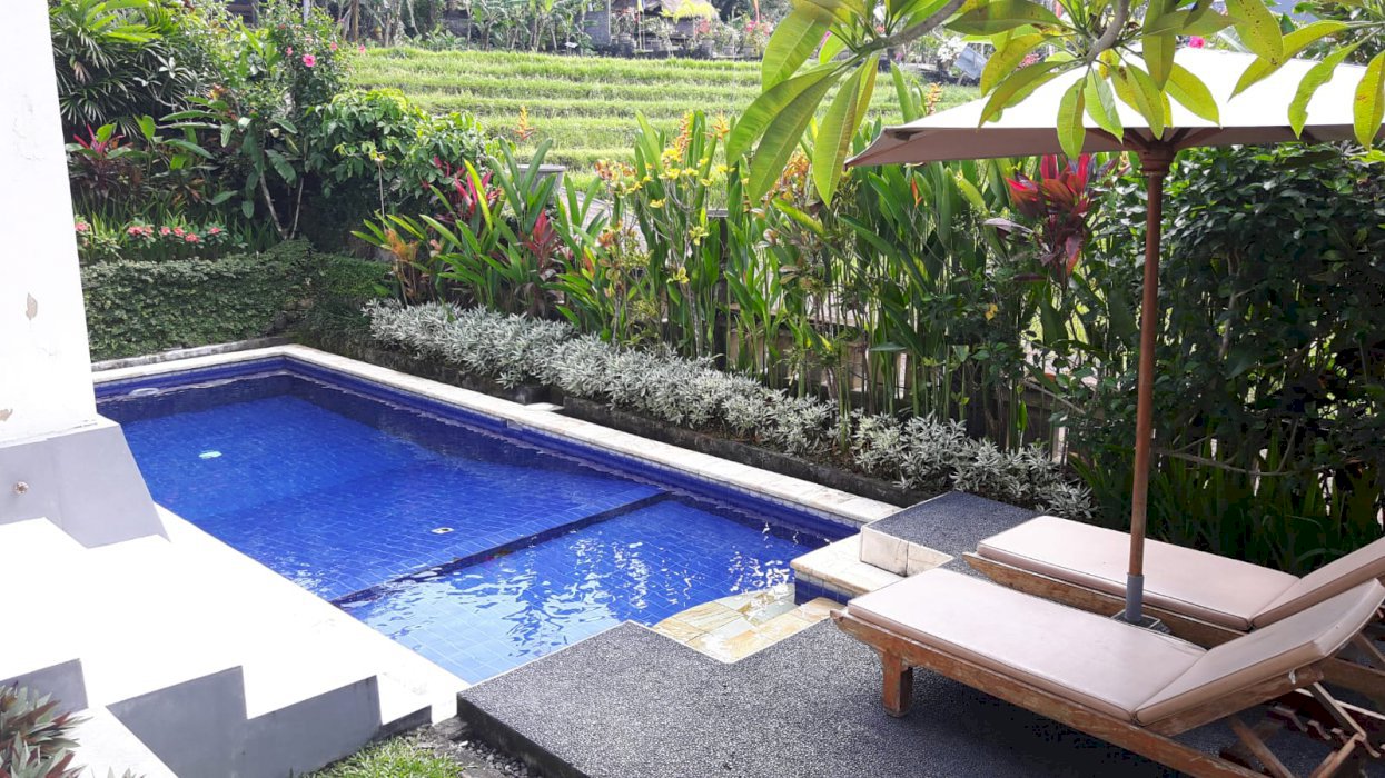 Jual+sewakan villa*view sawah* Canggu Berawa Bali (* 85xl