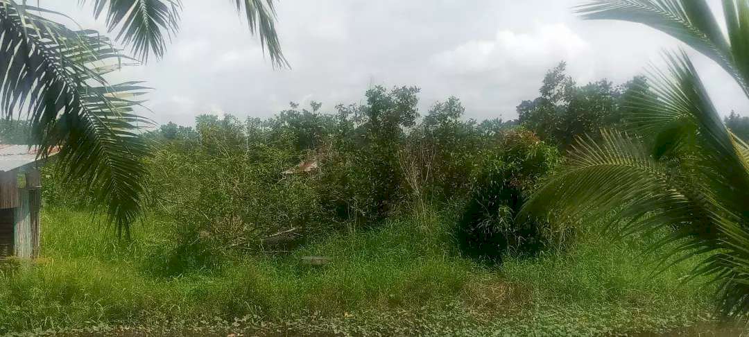 DI JUAL TANAH MURAH DAERAH PALEMBANG