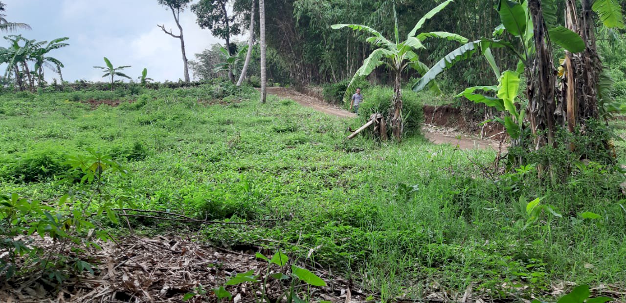 Dijual Cepat Tanah 6.626 m2 di Jatinangor