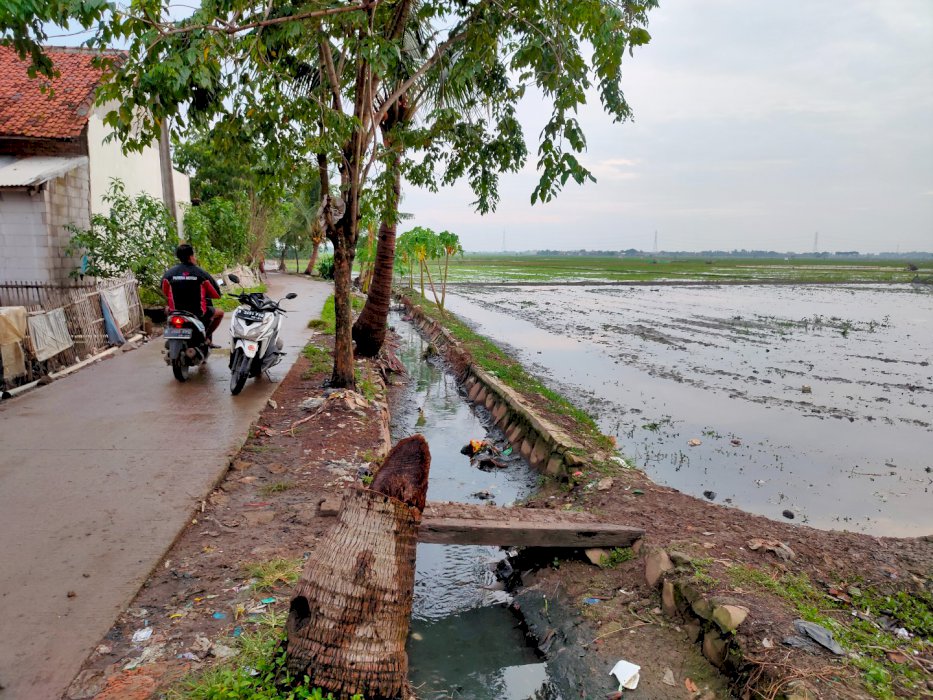 TANAH KAVLING MURAH STRATEGIS