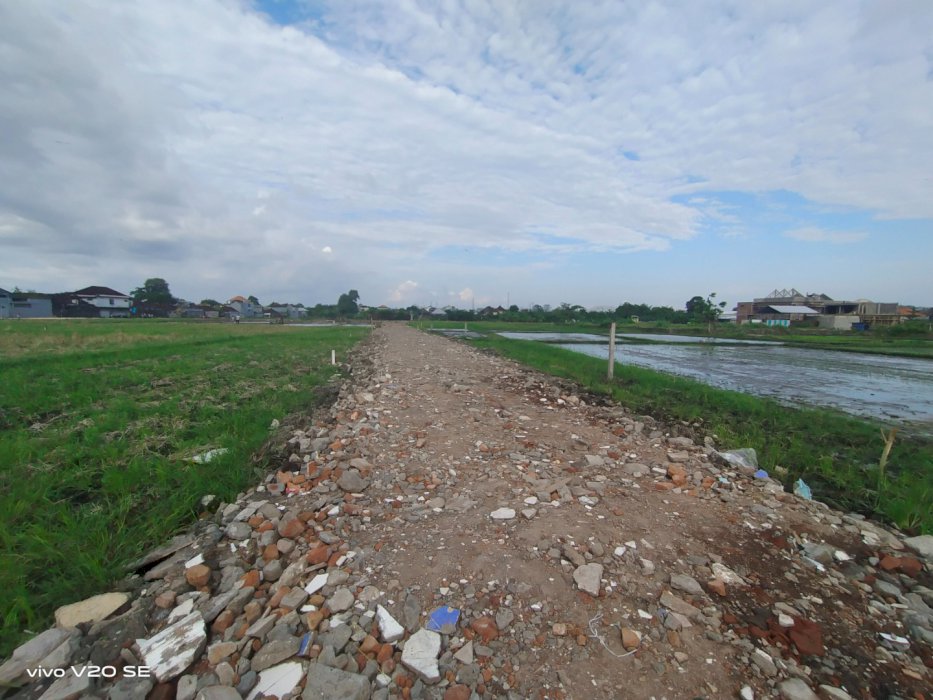 Dijual tanah pribadi lokasi pura Demak sangat buc aspek pemukiman