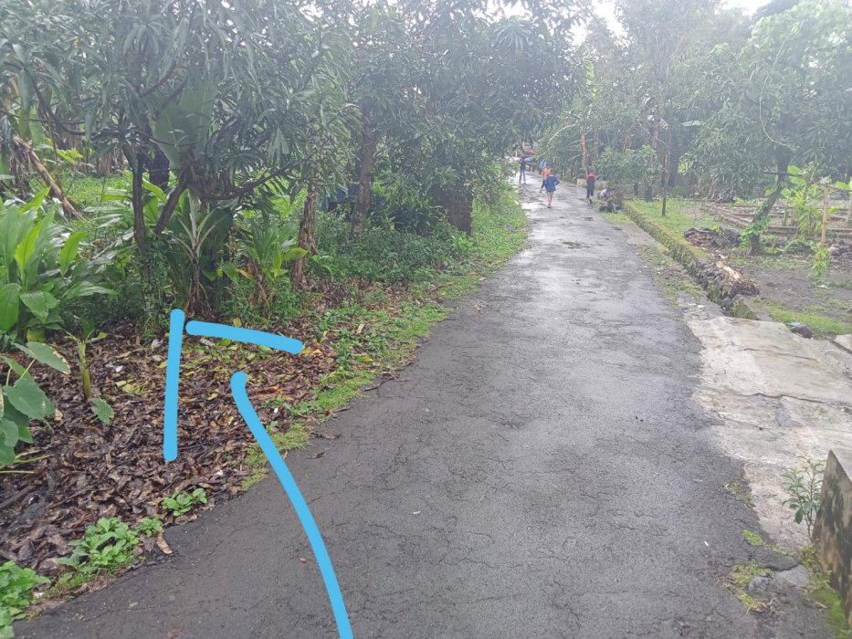 Jual cepat tanah Murah, di Beber Cirebon