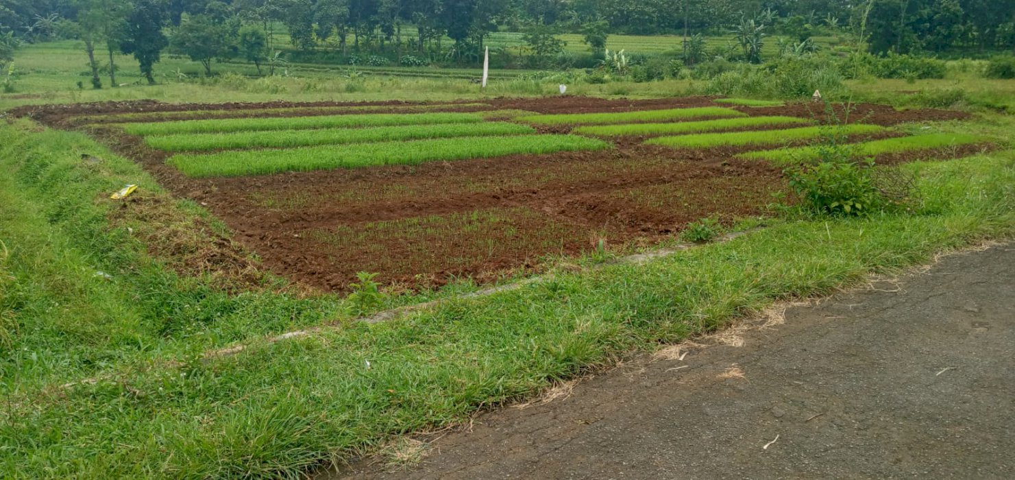 Bismillah Jual tanah spinggir jalan..lokasi ,dkt jalan raya.