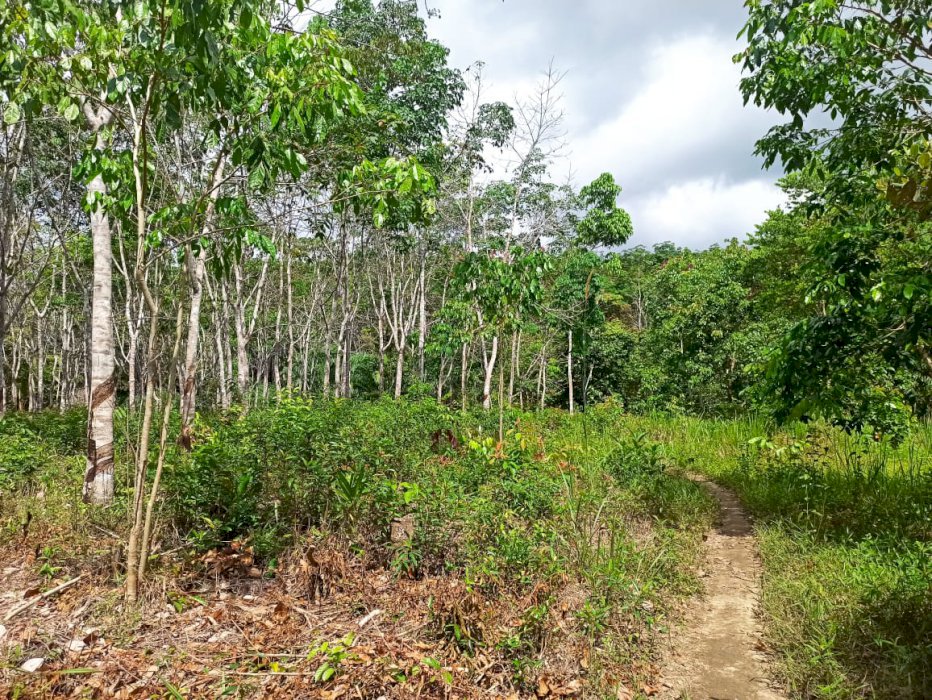 Dijual Tanah Murah untuk investasi di Bangka Selatan, Bangka Belitung