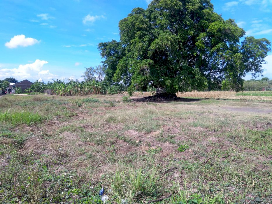 Tanah kavling area gedeg Mojokerto, dekat Alun2.