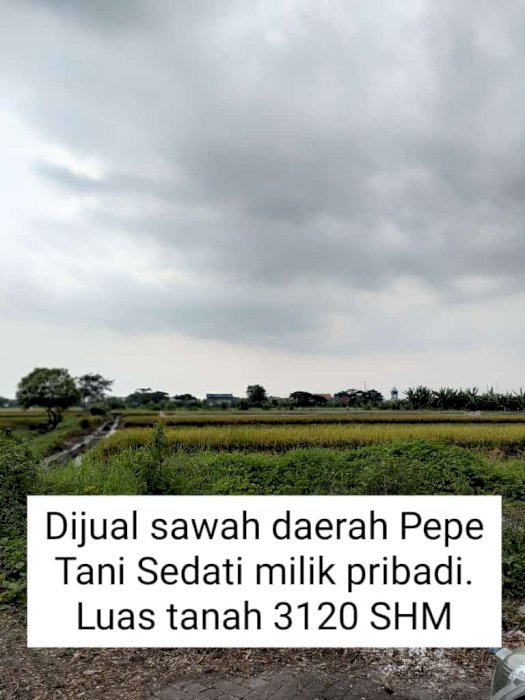 DI JUAL CEPAT TANAH SAWAH, SEDATI SIDOARJO JAWA TIMUR