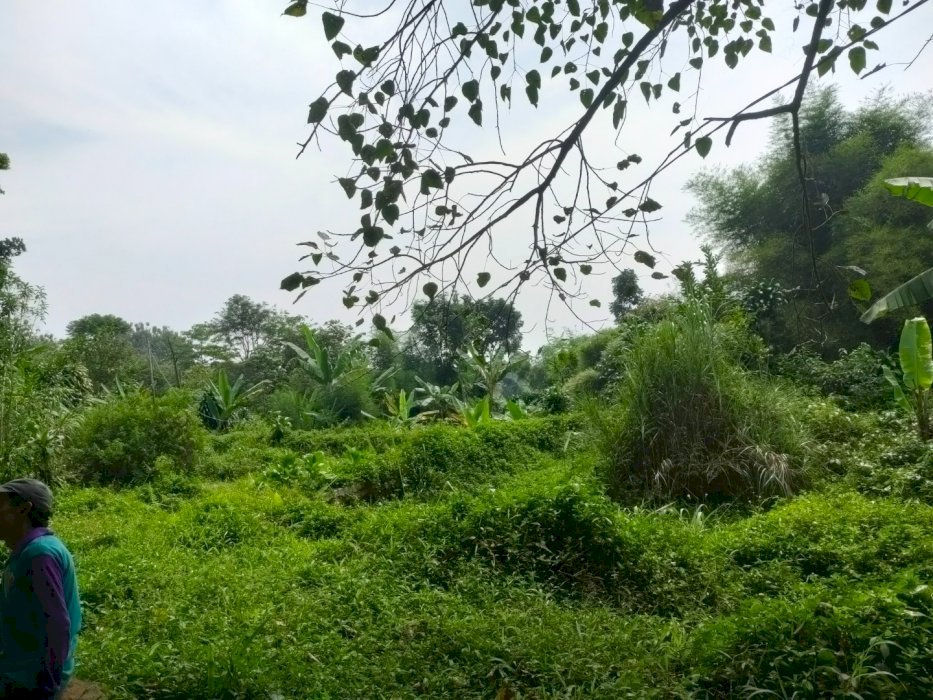 Oper garap lahan 2000 meter lokasi ciapus tamansari bogor