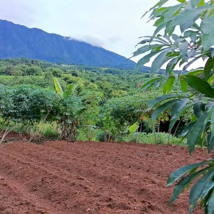 Di jual lahan murah,cocok untuk resort atau perkebunan dan investasi,