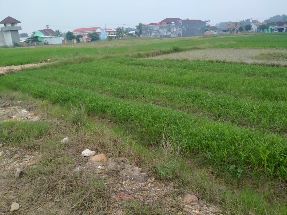 Dijual Tanah Dekat Kampus Itera