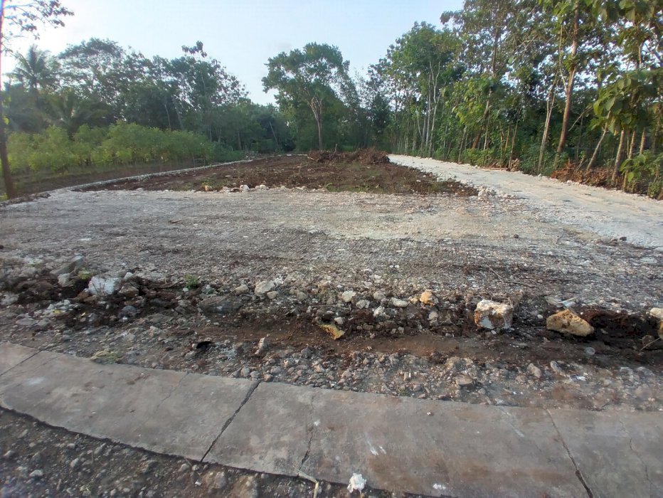 Dijual Tanah Murah Dekat Homestay