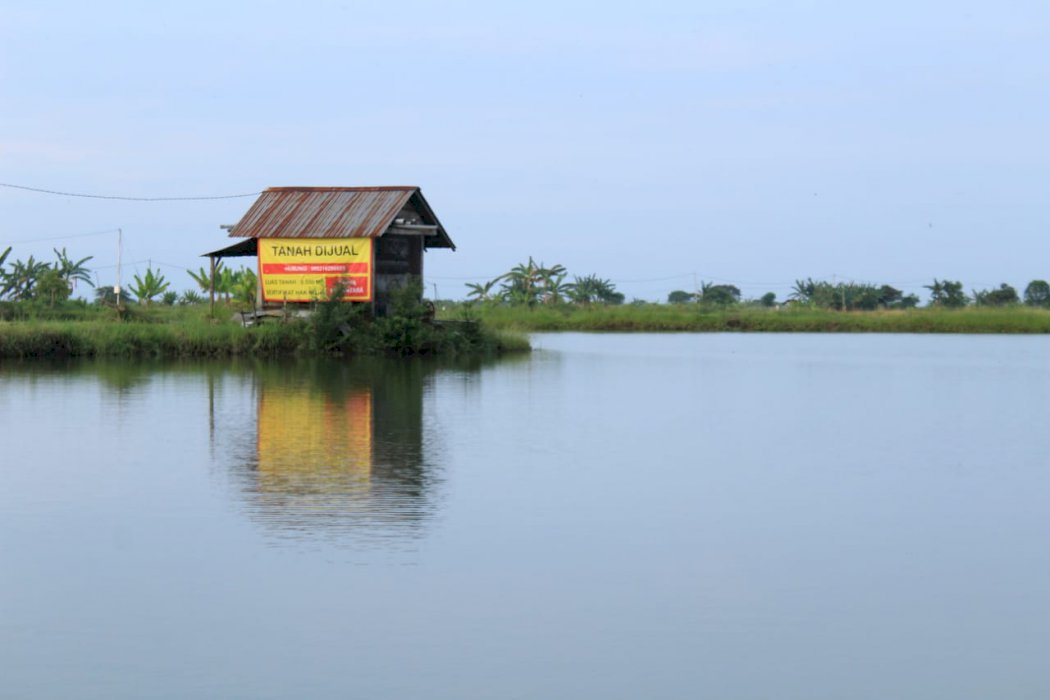 Dijual Tanah Jalan Raya Tuban - Surabaya