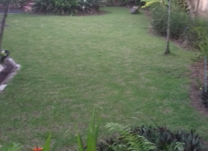 Jual tanah jln kaki ke pantai pererenan Canggu Bali murah meriah