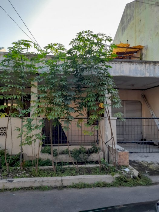 DIJUAL TANAH KAVLING