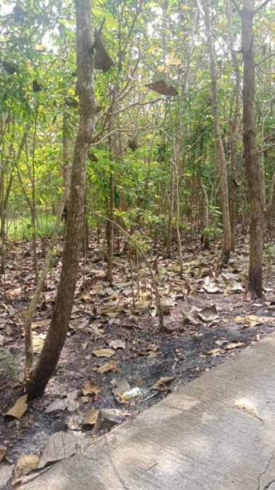 Tanah 266mÂ² sertifikat hak milik balecatur, jogja