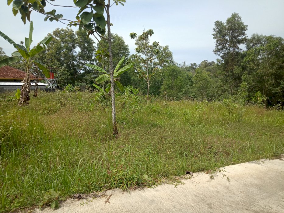 Tanah di belakang SMP negeri 2 Karanggede boyolali