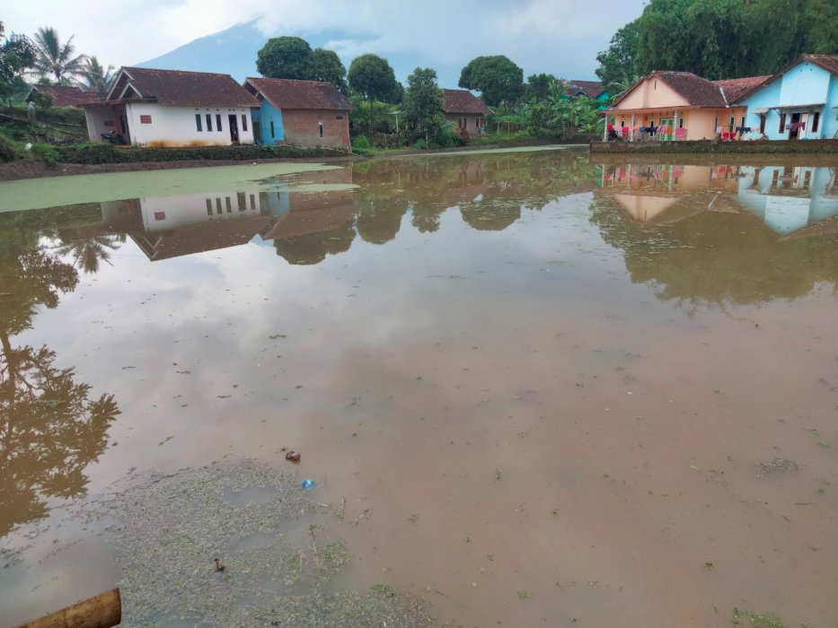 jual tanah sawah pinggir jalan