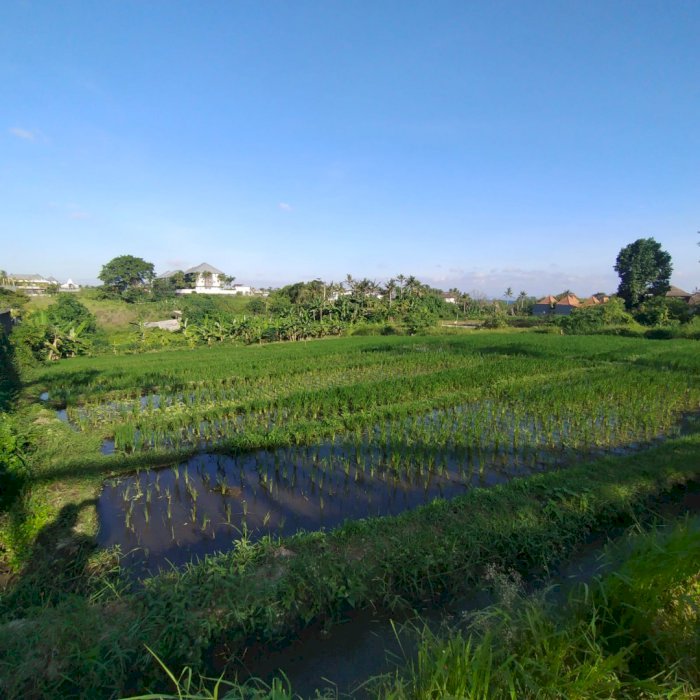 Dijual atau disewakan tanah komersil jln utama pantai seseh