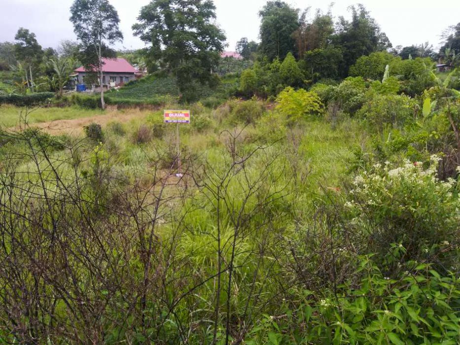 DI JUAL TANAH, BUKITTINGGI AGAM SUMATERA BARAT