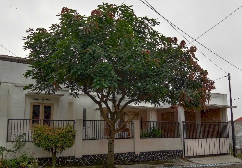 Rumah murah termasuk perabot