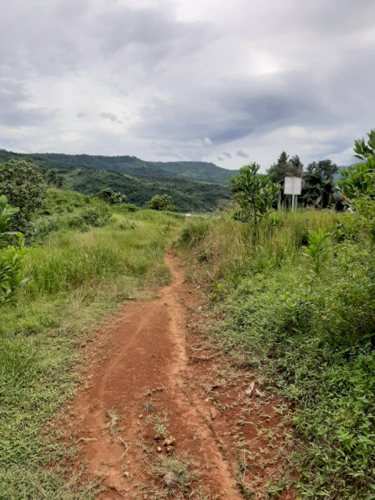 DI JUAL TANAH PINGGIR JALAN JALUR PUNCAK 2