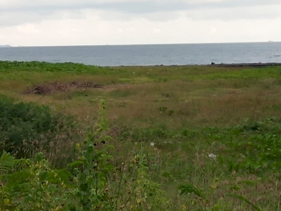 Dijual cepat tanah LOS PANTAI KETEWEL GIANYAR BALI Ida Bagus mantra