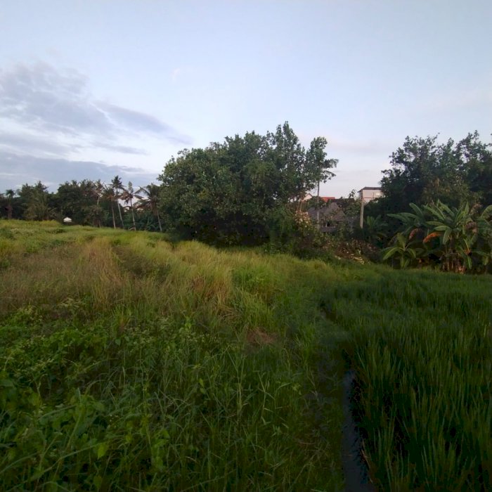 Disewakan tanah komersial pererenan dekat dengan pantai