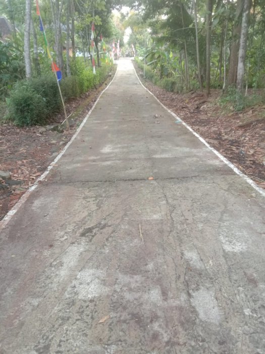 Di jual tanah pekaranggan