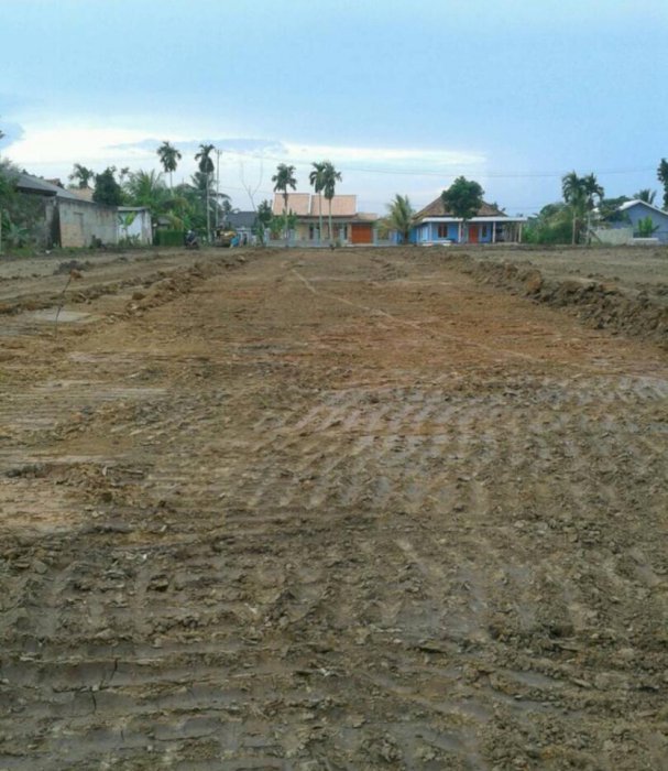 Tanah Luas 3 hektar Lokasi Rimbo Mulyo