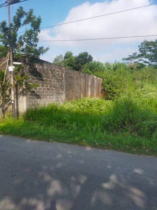 Dijual SHM Sawah lokasi Barat Candi Prambanan