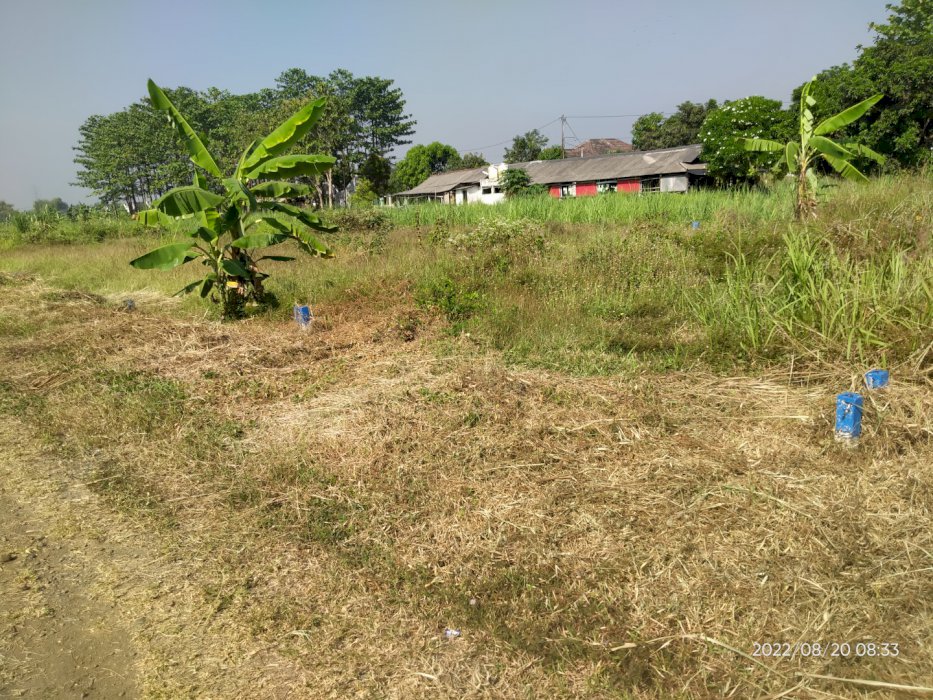 KAV TANAH SHM UK 9 x 10