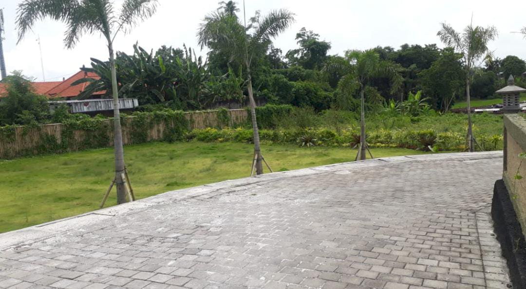 Dijual Tanah Los sungai & view sawah yang Berlokasi Pererenan