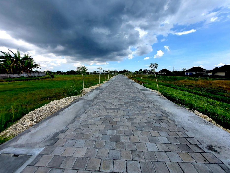 TANAH KAVLING PANTAI KEDUNGU VIEW SAWAH DEKAT KE DUNGU