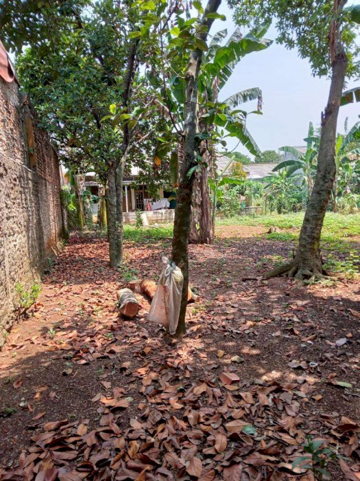 Tanah Murah bangett depok